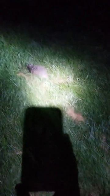 Такой концовки я и сам не ожидал (137) смотреть онлайн