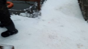 зарыбление 5.01