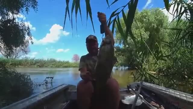 РЫБАЛКА НА СОМА И САЗАНА С ЖЕНОЙ. Ловля сома на лягушку, саранчу и червя. смотреть онлайн