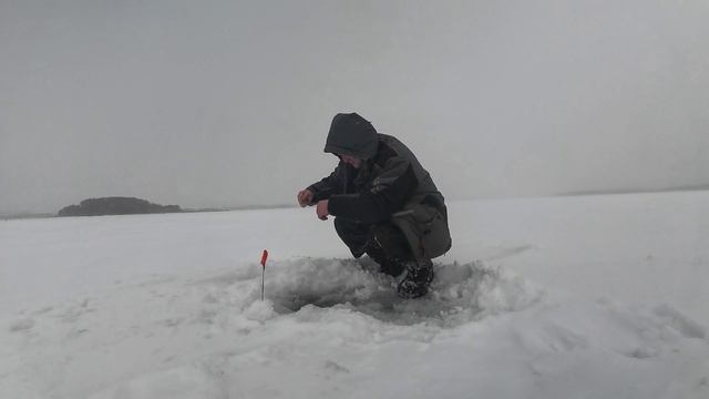 Мой первый лёд на Рузе с ночёвкой 2026.Погода как в феврале,но клюёт. смотреть онлайн