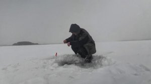 Мой первый лёд на Рузе с ночёвкой 2026.Погода как в феврале,но клюёт.