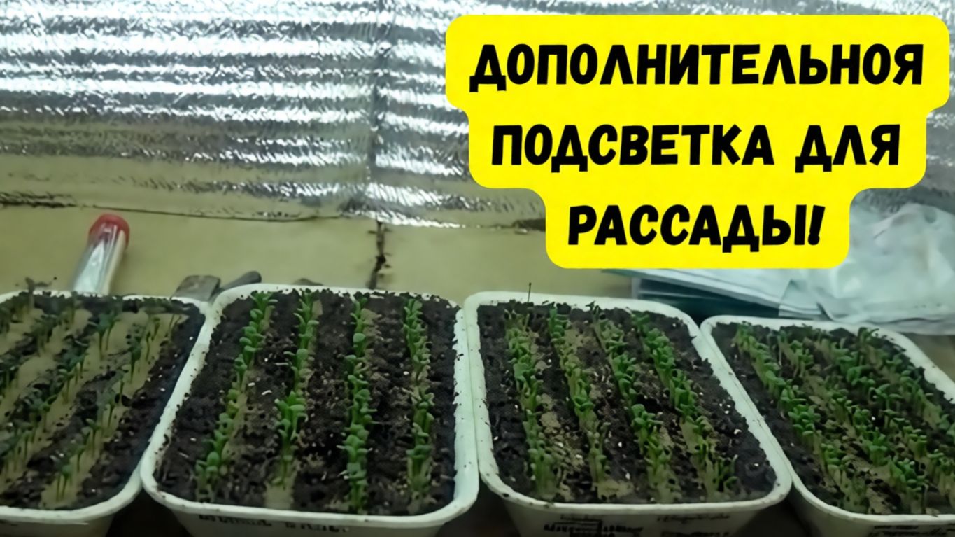 КАК ПРАВИЛЬНО ПОДСВЕТИТЬ РАССАДУ. ТОНКОСТИ, НЮАНСЫ И РАСЧЁТЫ МОЩНОСТИ ЛАМП. смотреть онлайн