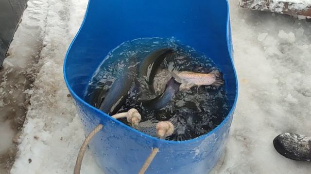 video5395461500624211793 смотреть онлайн