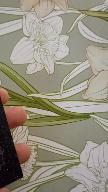 Сакура собирательница карт смотреть онлайн