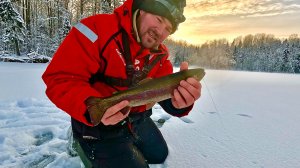 ФОРЕЛЬ БЕГЛЯНКА В СОЛНЕЧНОЙ КАРЕЛИИ, ПОПРОБУЙ ЕЁ ПОЙМАЙ, ОБХИТРИТ ЛЮБОГО РЫБАКА!