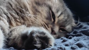 Арт заражёному UhWhatImPurpleGuy 3.0 (немного похож на титана тв мена из 79)