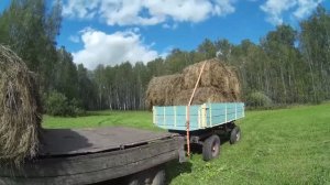 Последний штрих сенокоса. Вожу сено с поля на продажу в другую деревню.