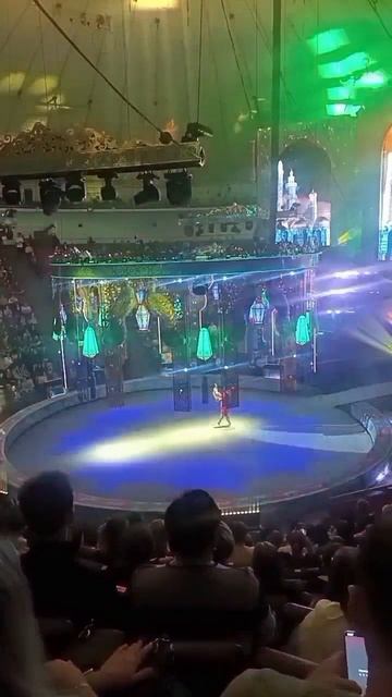 Под куполом цирка : восторг и удивление 🥰😍 (ч.2)