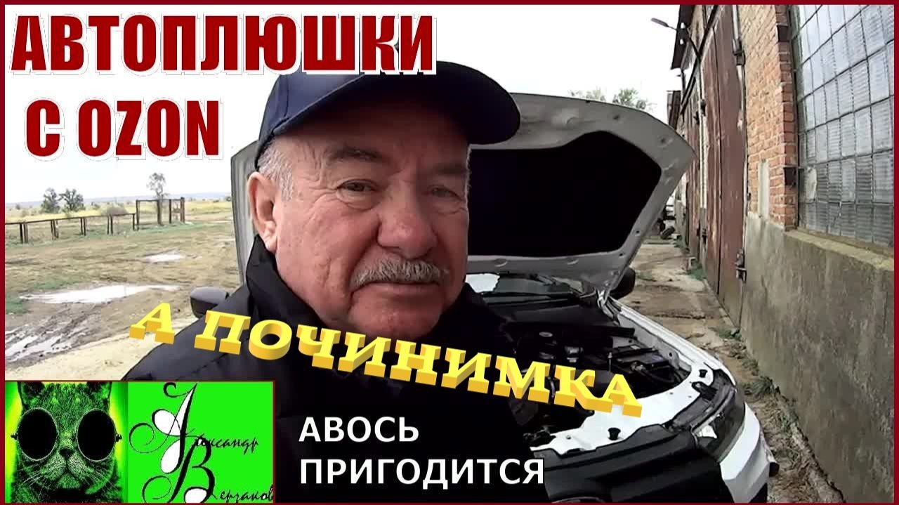 Автоплюшки с OZON