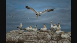 Об итогах Nature Photography Contest 2024