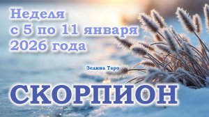 СКОРПИОН | ТАРО прогноз на неделю с 5 по 11 января 2026 года