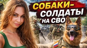 Как собаки воюют на СВО