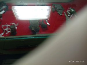 600 лет лечу в абу-даби