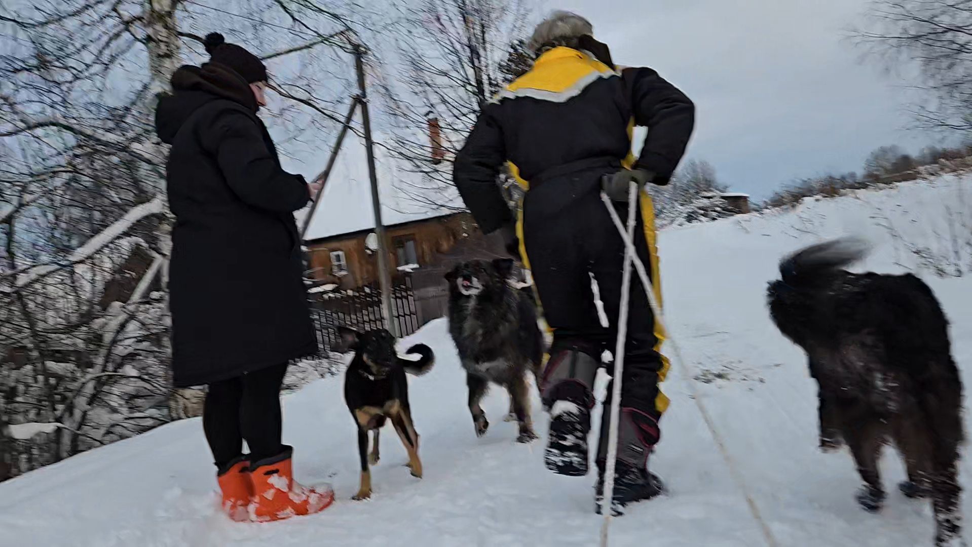 Прибытие родных и бодренькое утречко смотреть онлайн