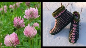 93. МК. # " КЛЕВЕР "# ТАПОЧКИ-СЛЕДОЧКИ НА ДВУХ СПИЦАХ БЕЗ ШВОВ #