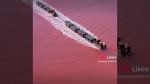 Бурлинское озеро