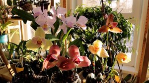 В воздухе весна!