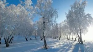 Юлай Нуриманов - Ҡышҡы урман❄❄❄❄❄