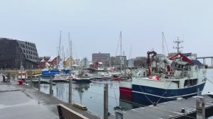 Жизнь в Арктике ❄ Пешеходная экскурсия по Тромсе, Норвегия | Полярный день