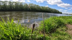 РЫБАЛКА НА ДОНКИ