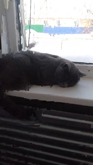 мой кот 3 смотреть онлайн