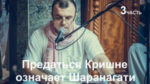 Семинар "ШАРАНАГАТИ" Путь к сердцу Кришны - Е.М. Радха Говинда прабху (3-я лекция 03.12.23)
