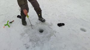 Поставушка Либра