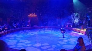 Королевский Цирк Гии Эрадзе Самара. 2026