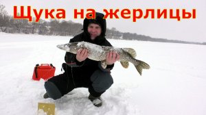 Зимняя щука на жерлицы: первый трофей сына! Эмоции через край