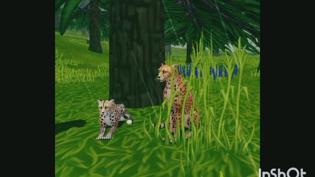 Мини фильм Wildcraft "Жизнь леса" 5 серия смотреть онлайн