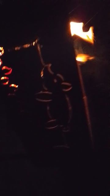 Шашлыки с семьёй смотреть онлайн