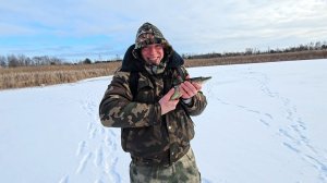 Красиво начали Новый год! Ловим щуку на жерлицы в Брестской области. Любимая Беларусь.