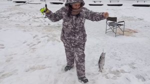 Светлые Горы Форель8 05.01.2026г.