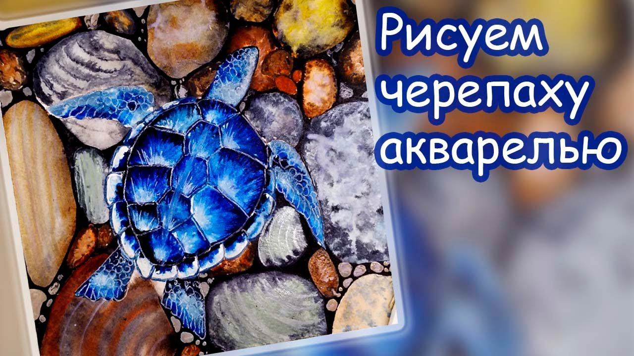 Морская черепашка акварельными красками. 🐢🎨👩🏼🎨 смотреть онлайн