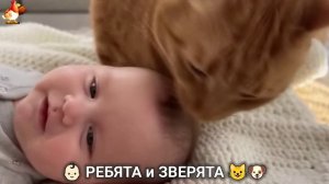 Ребята и зверята от ИИ милое видео для души и радости 👶🏻😺🐶 (22)