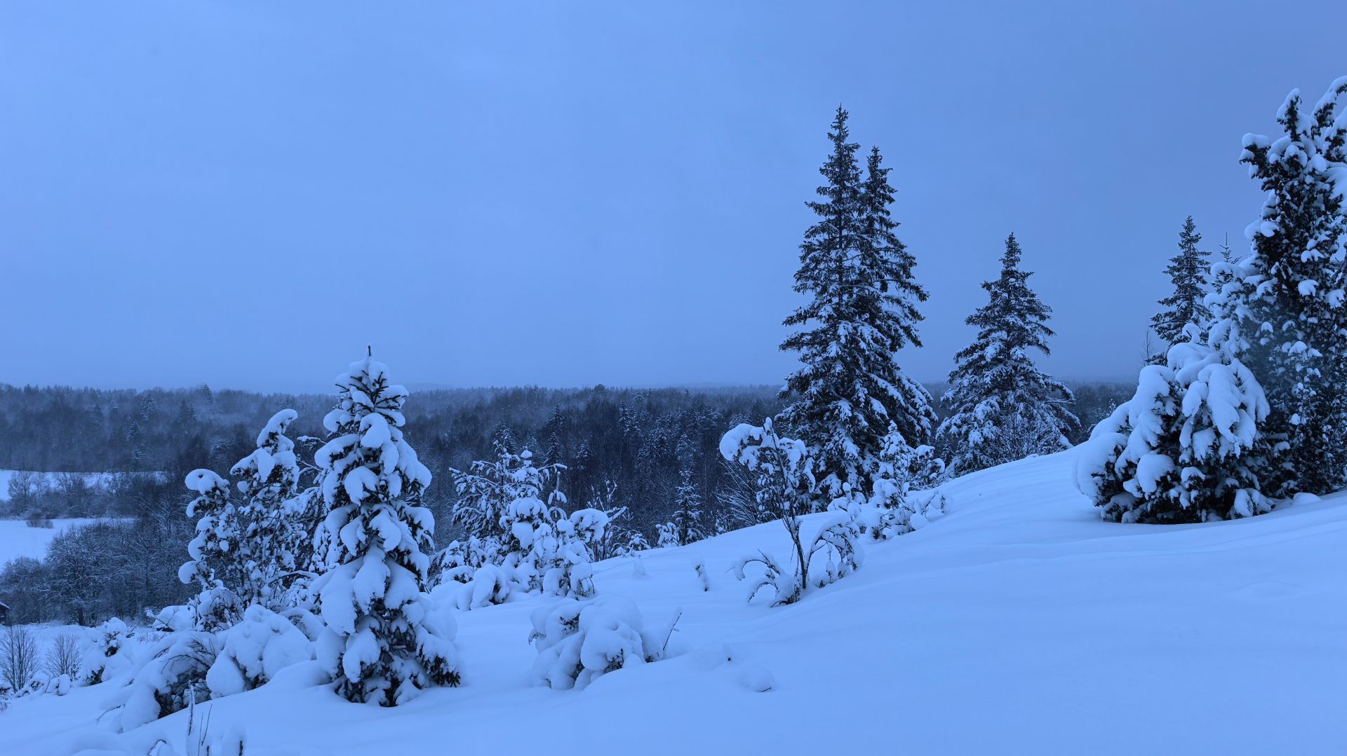 Фотограф в снегу на вершине Сандыревой горы смотреть онлайн