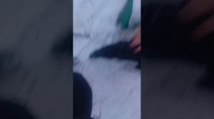 ссылка на донат в описание