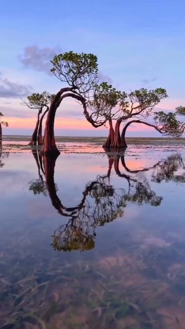 КРАСИВАЯ ПРИРОДА смотреть онлайн