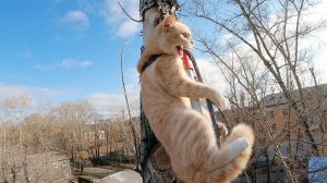 Нюша-#@внюша...