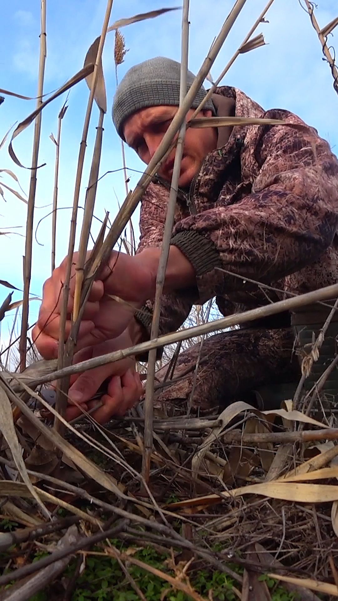 ЭТО НЕ ВСЕ ЗНАЮТ! ЛУЧШАЯ ПРИМАНКА ЗИМОЙ #астраханскийклев смотреть онлайн