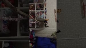 тренировка по хобби-хорсингу