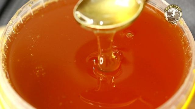 Может ли Мёд целый год быть жидким.mp4 смотреть онлайн