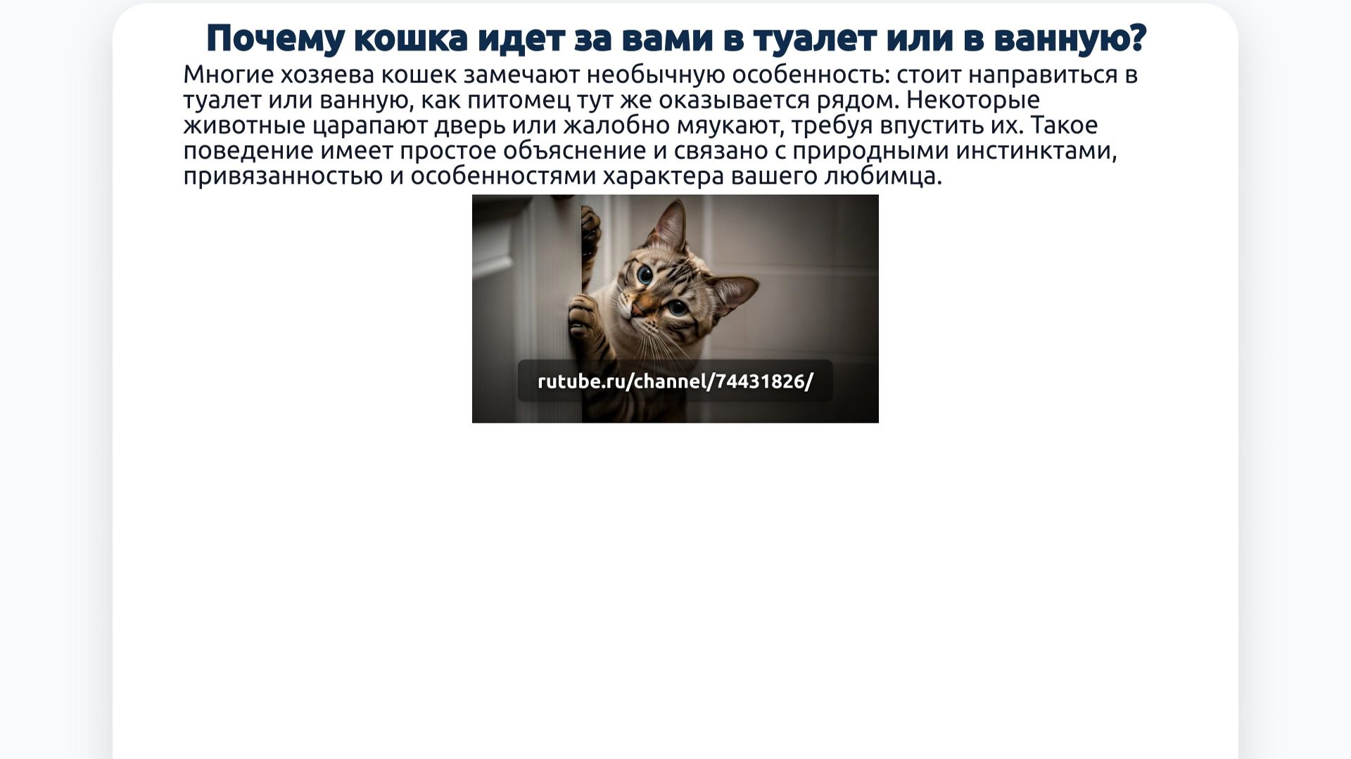 Почему кошка идет за вами в туалет или в ванную?