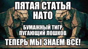 Пятая статья НАТО не работает: что признали США и почему это меняет всё