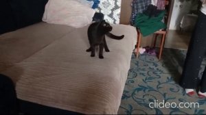 Тимохина исповедь.mp4