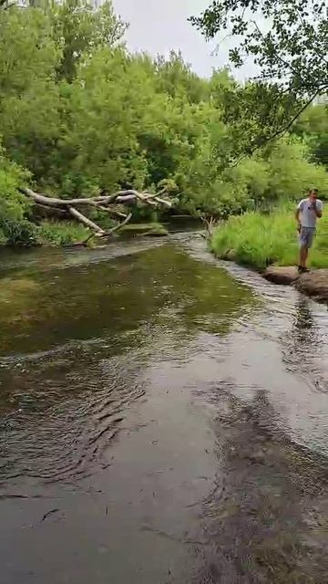 На природе смотреть онлайн