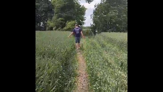 Гуляем смотреть онлайн