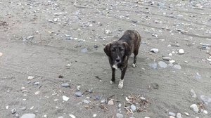 43) На зиму в Абхазию-4. На Эшерском источнике