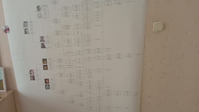 Моё Семейное древо 🌳 как его составить и где брать сведения.ℹ️ смотреть онлайн