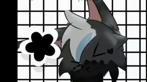 Колаб с Fire Paw WCUE